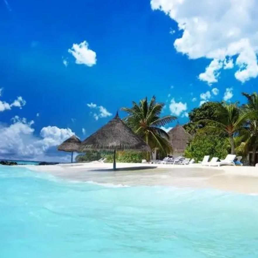 一抹🍍🍌晚霞好物分享