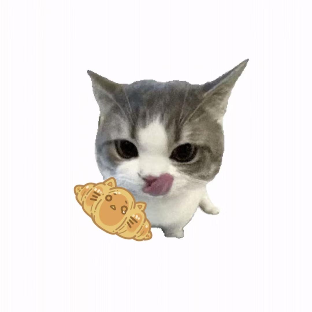 可颂🥐