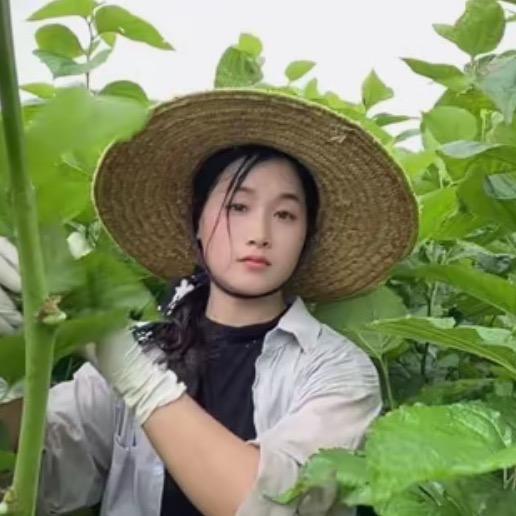 伊珞🌸