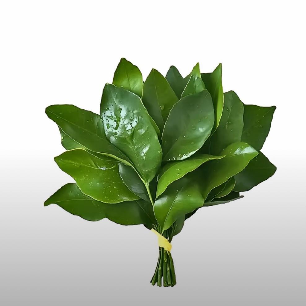 累了就睡觉