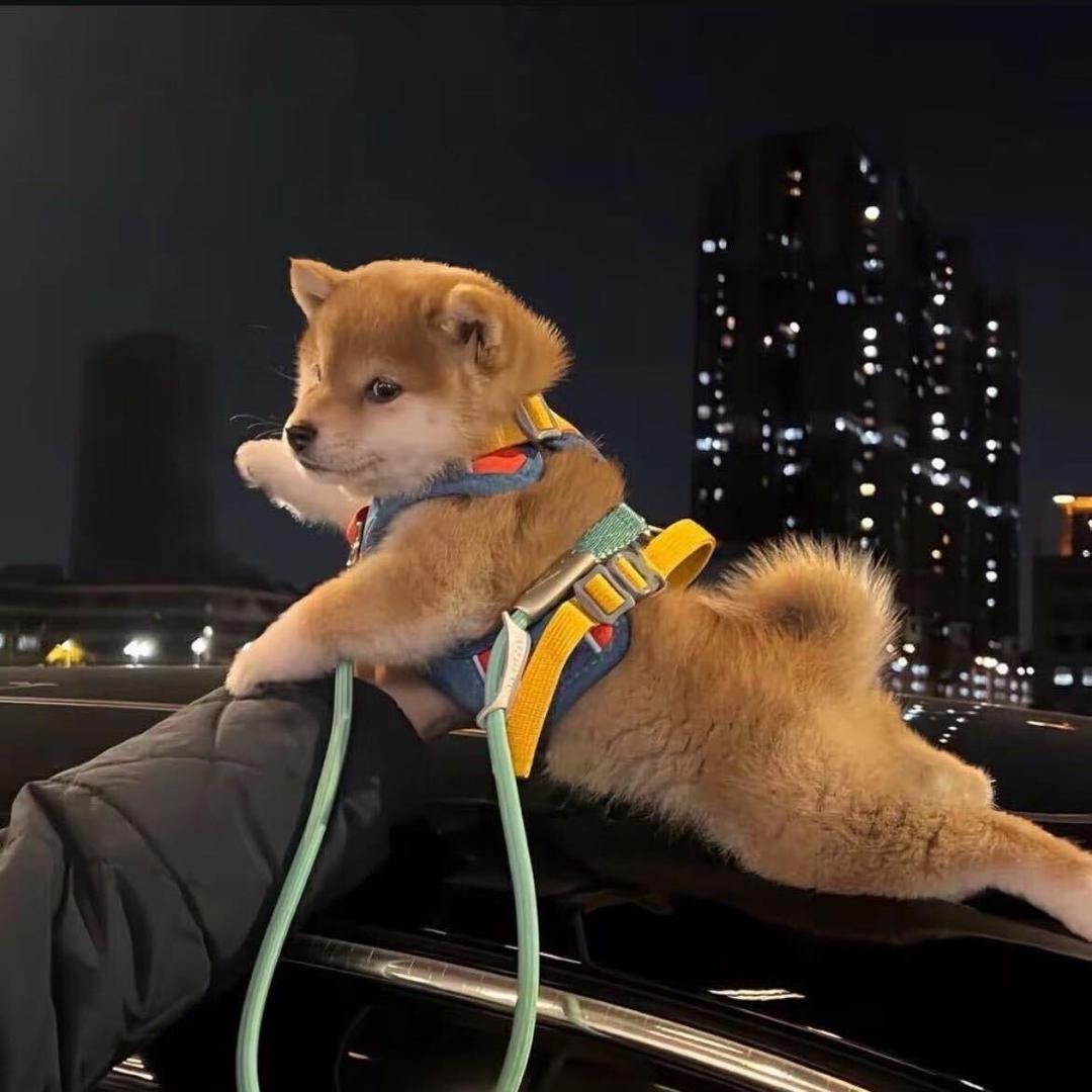 4ever. ㅤㅤㅤㅤㅤㅤㅤㅤㅤㅤ