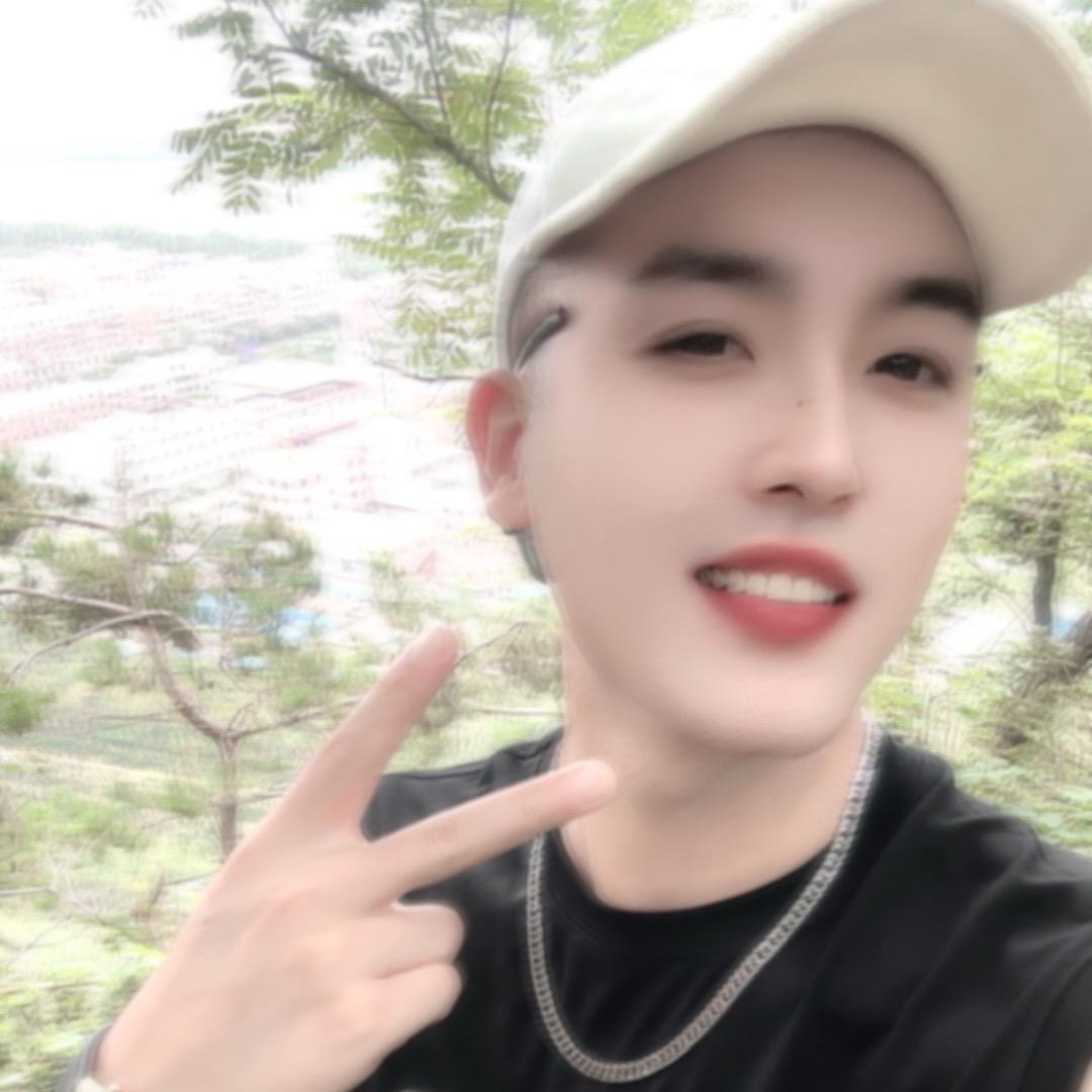 王子晨