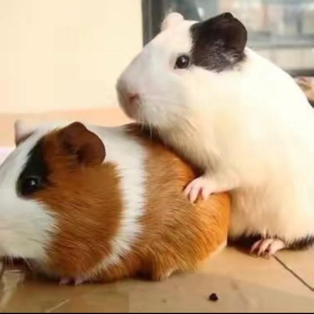 贵👍州🤓小💀秋