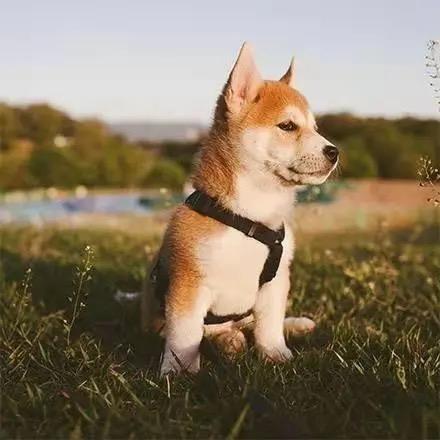 贵阳十月摄影黔灵