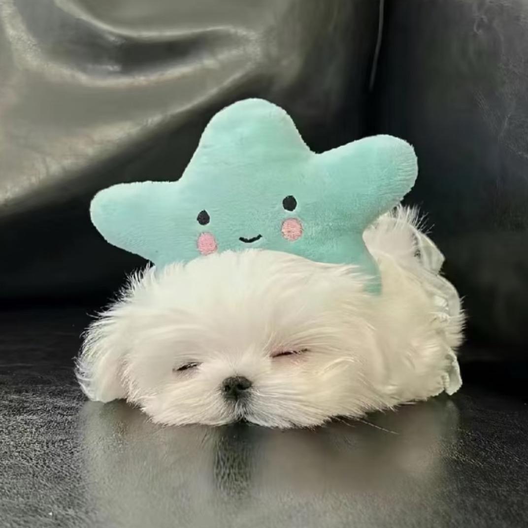 冰冻