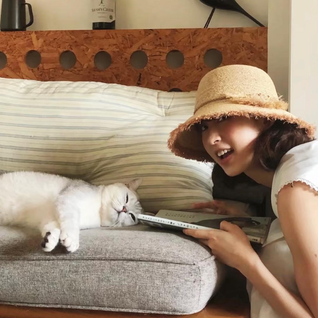 猫咪不嗷呜
