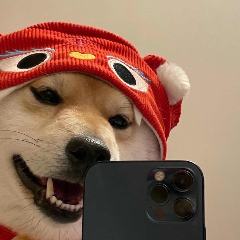 若初.