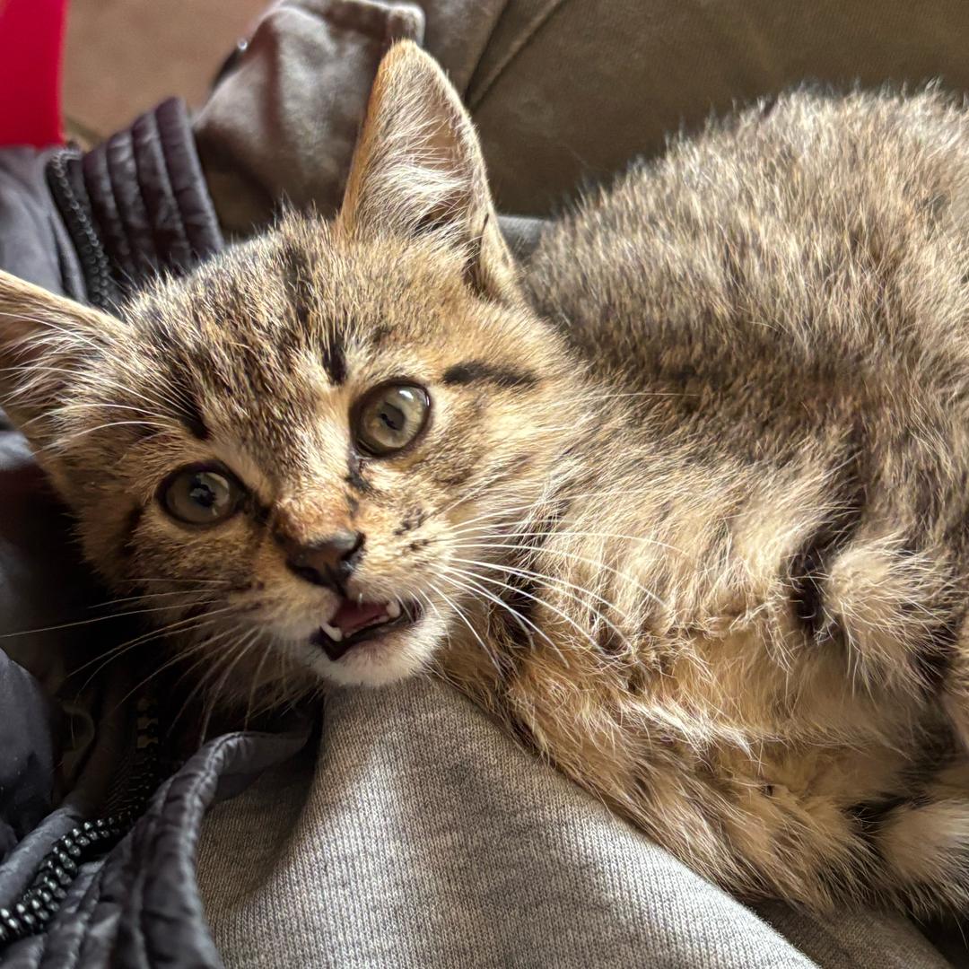 运动求求你运动