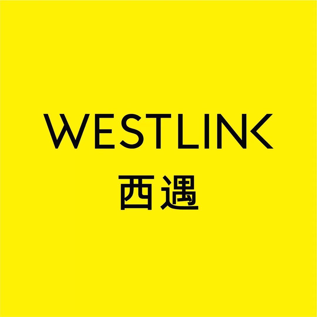 WESTLINK西遇(大融城店)