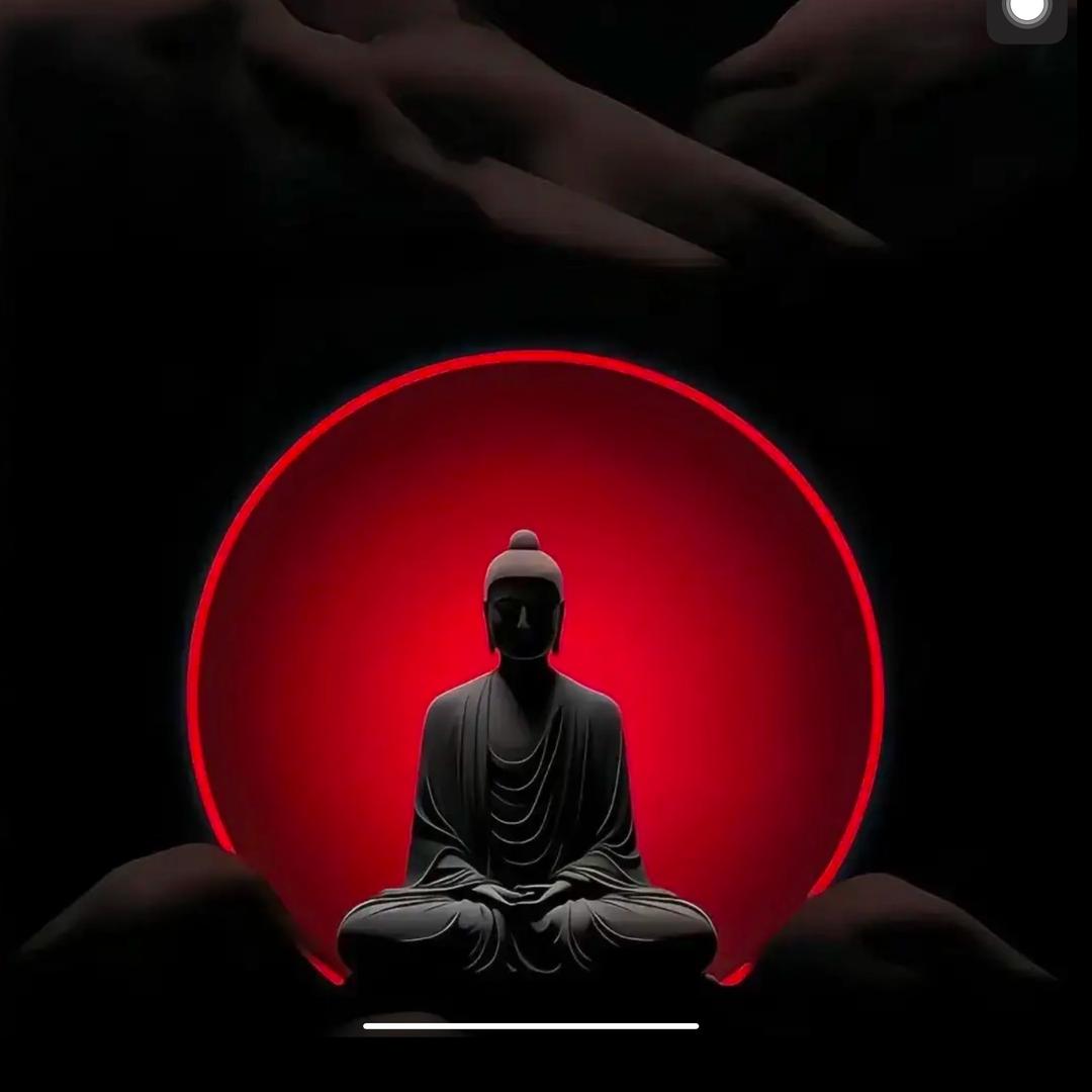 挞姐在呢！