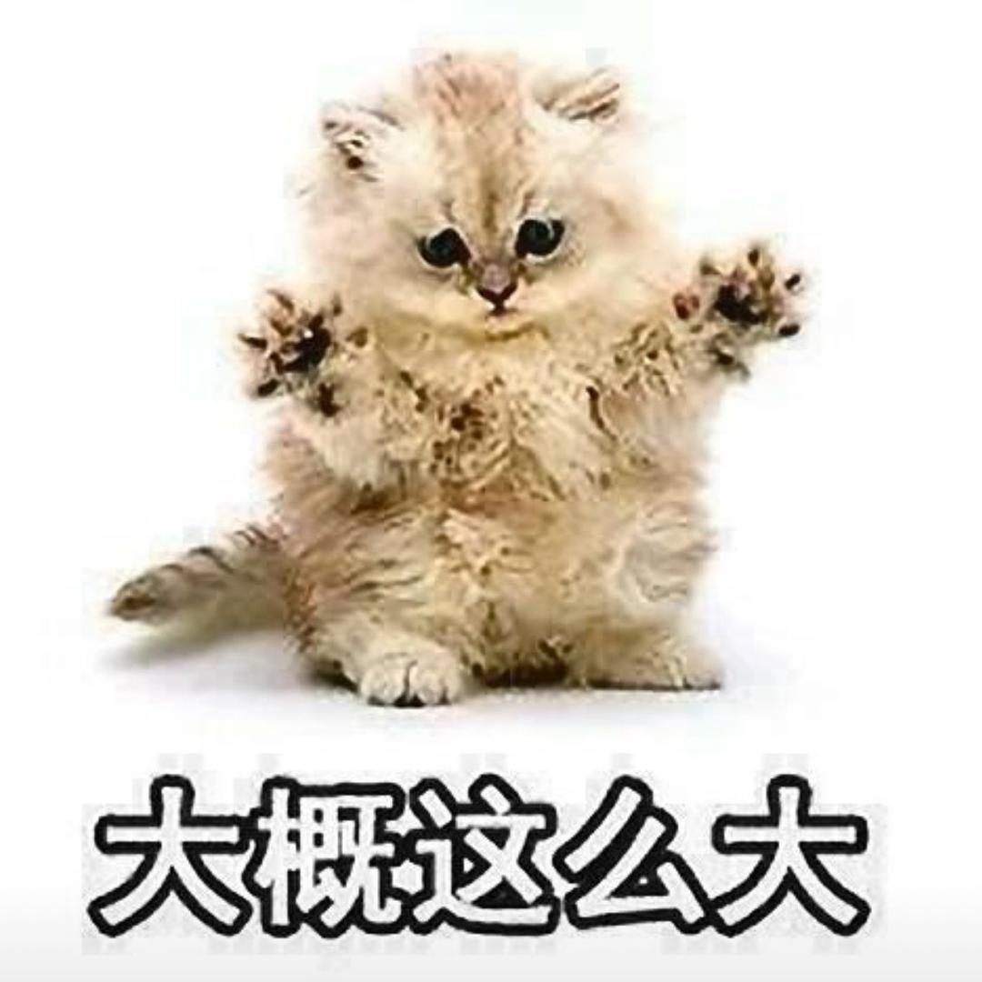 向日葵🌻