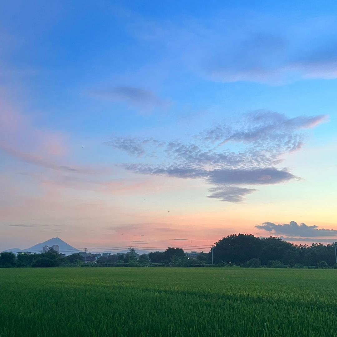 JUN皮革