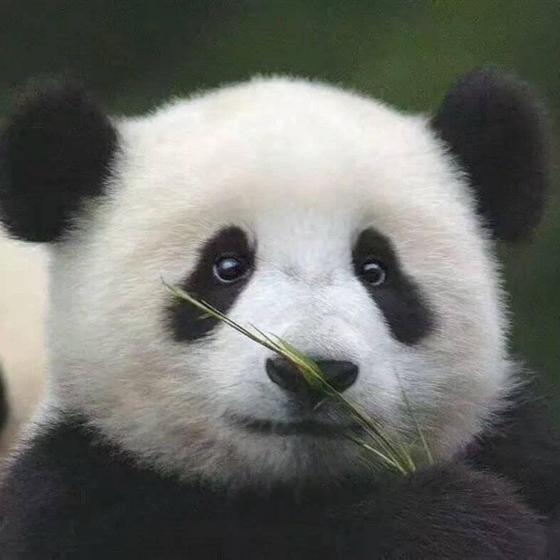 好物种草馆