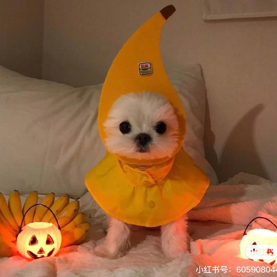 上好佳
