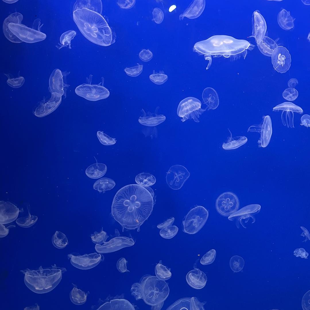 欢迎来到抖音