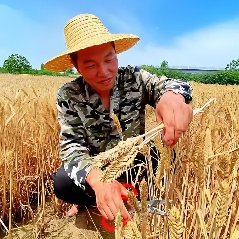 老周助农大田管理