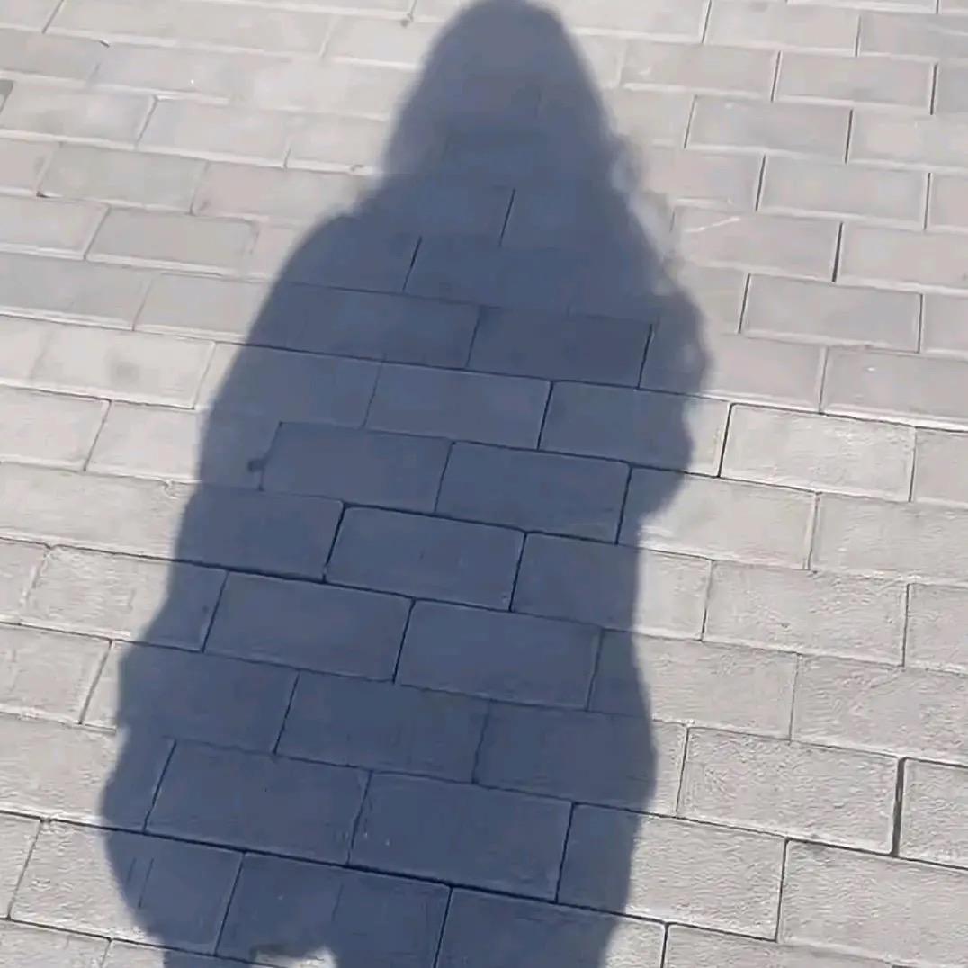 @🌙美 晨曦