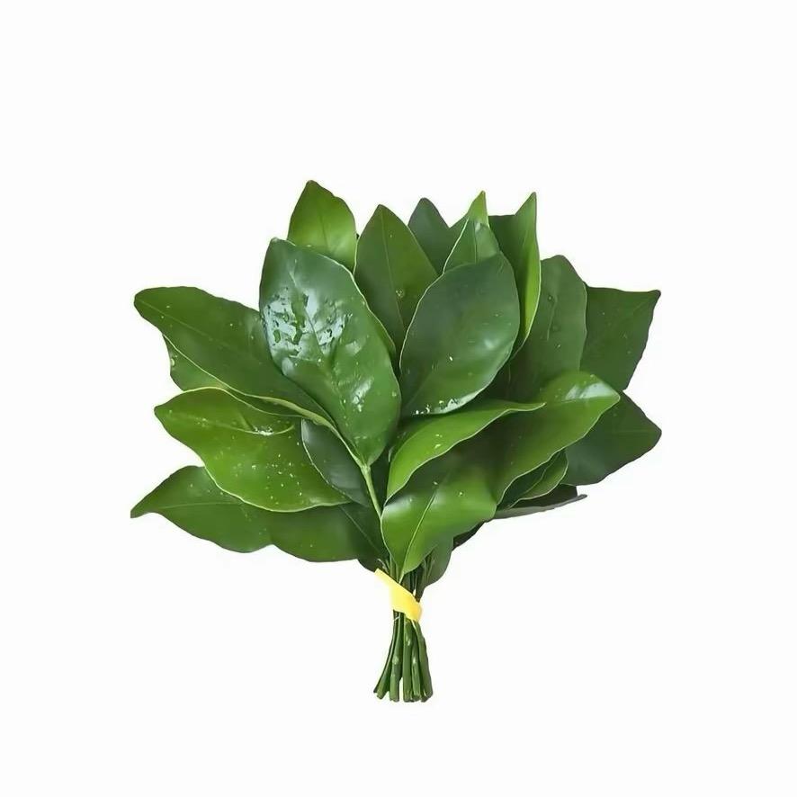 小董好物分享👸