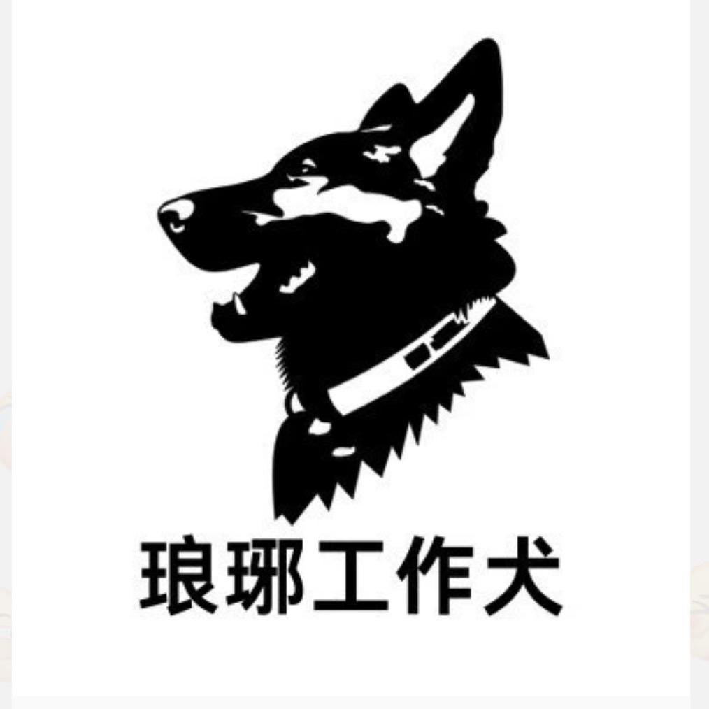 琅琊训犬