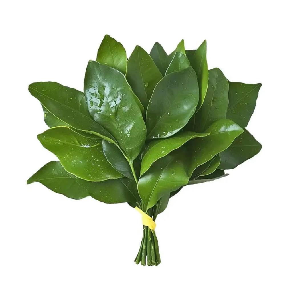 阿圆耶