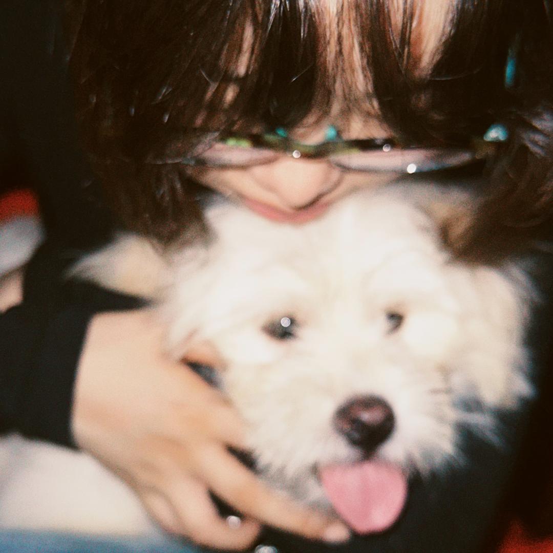 蓝色星球的灌汤包