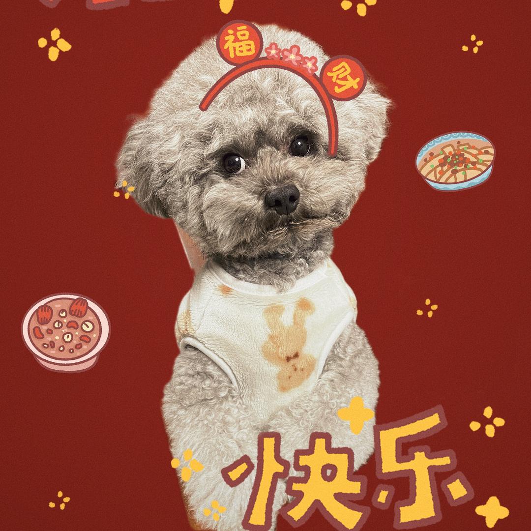 富贵竹