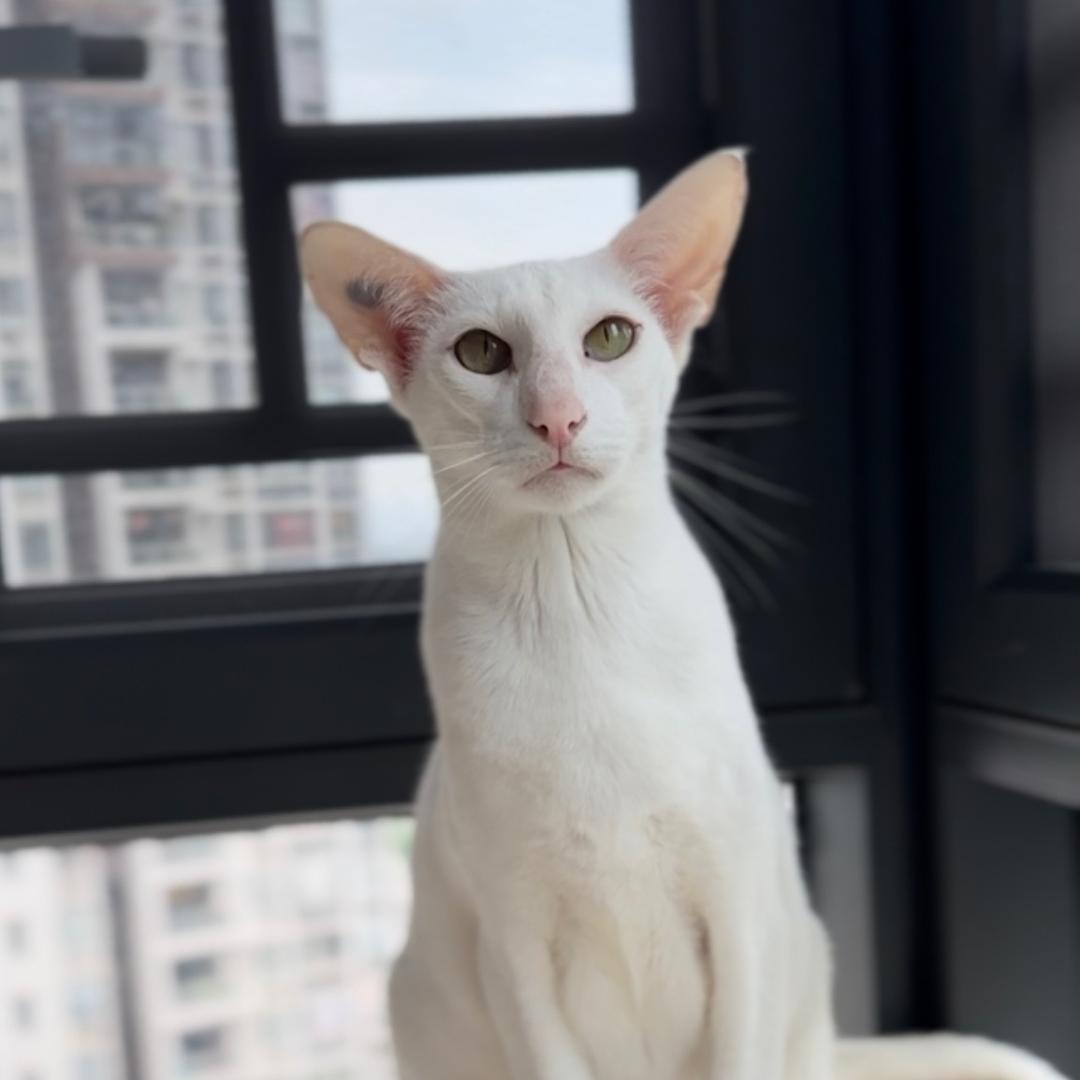 🎐张张🎐