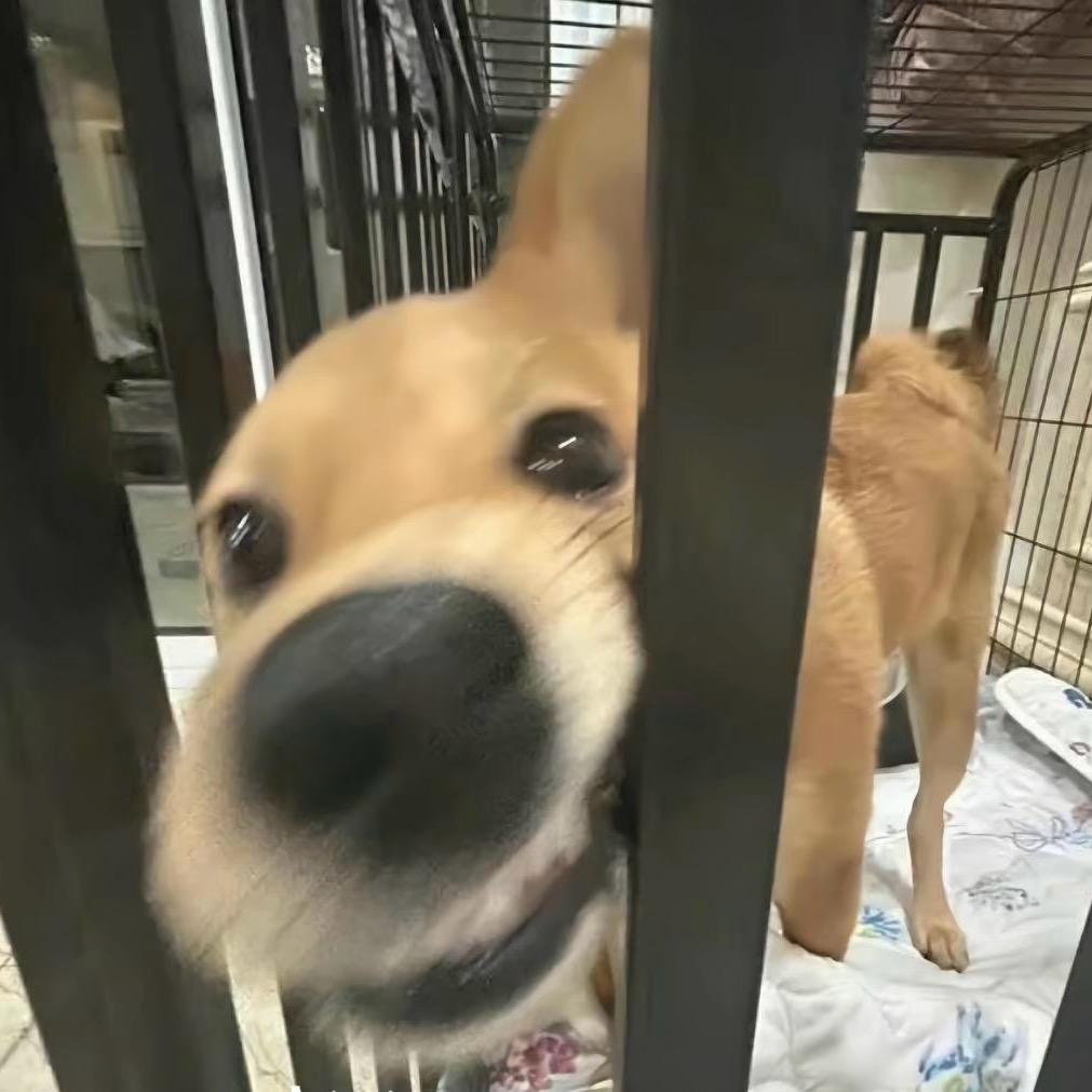 博然