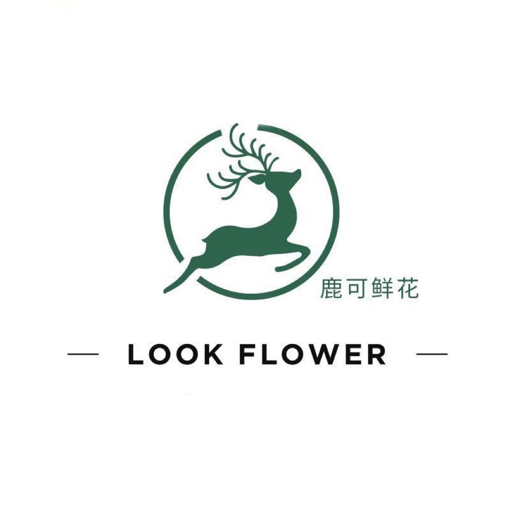 日照花店｜鹿可鲜花