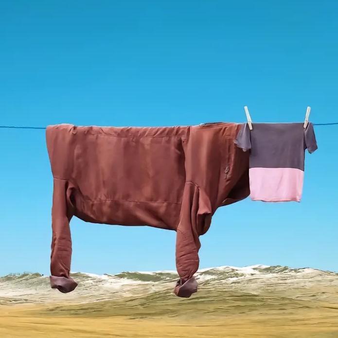 北海北