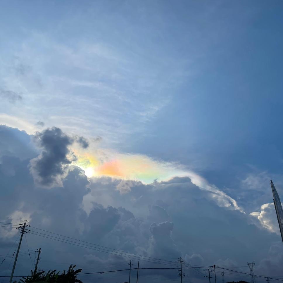 抽油烟机、灶具批发厂家