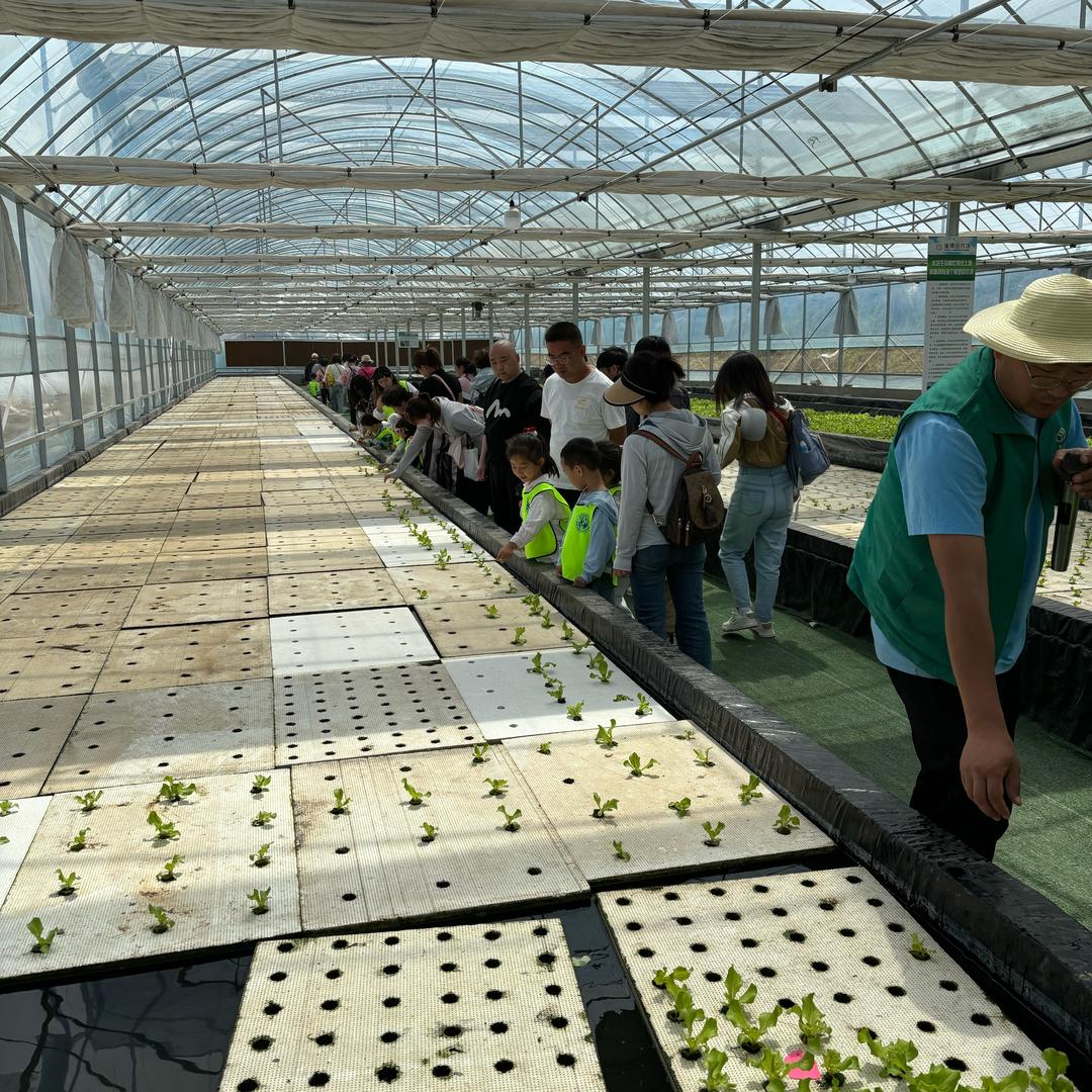 返乡大学生小成