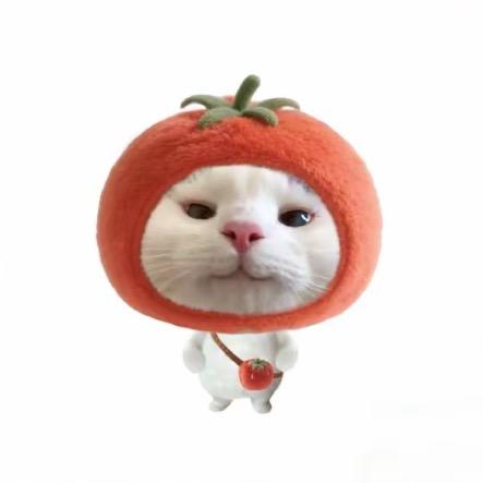 别骂窝🐾