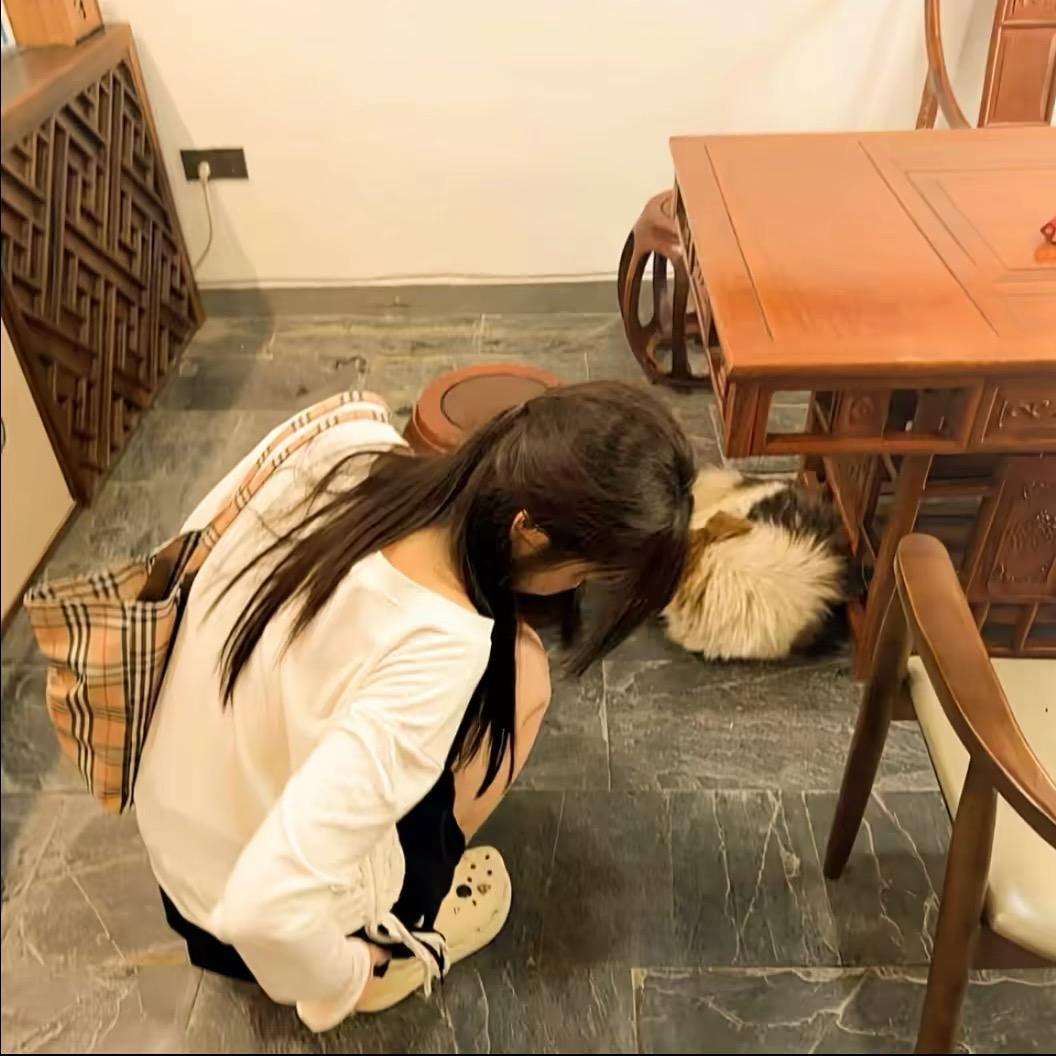 等雨停．