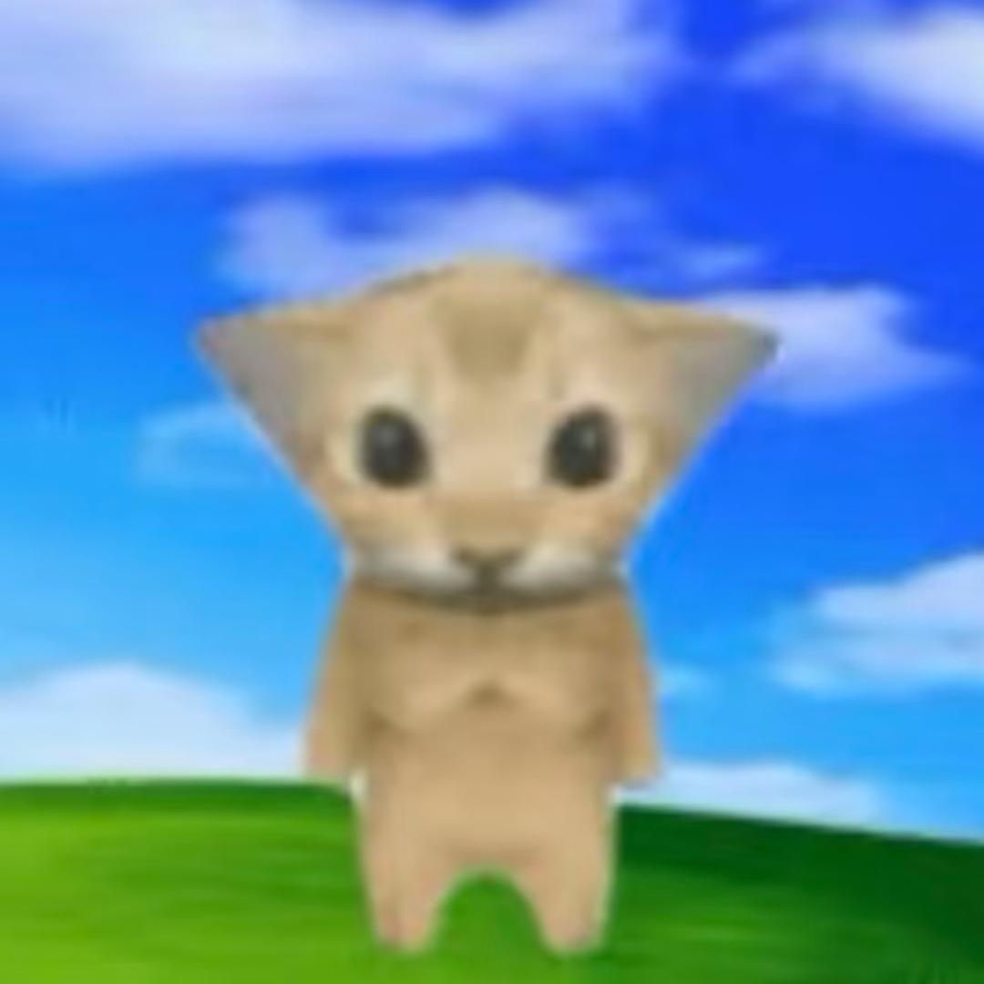 ･ᴗ･꧞