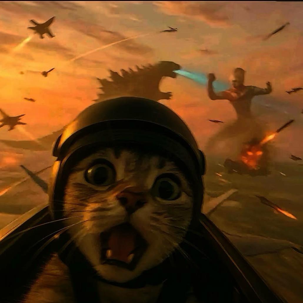 温暖鼠鼠(三角洲跑刀)