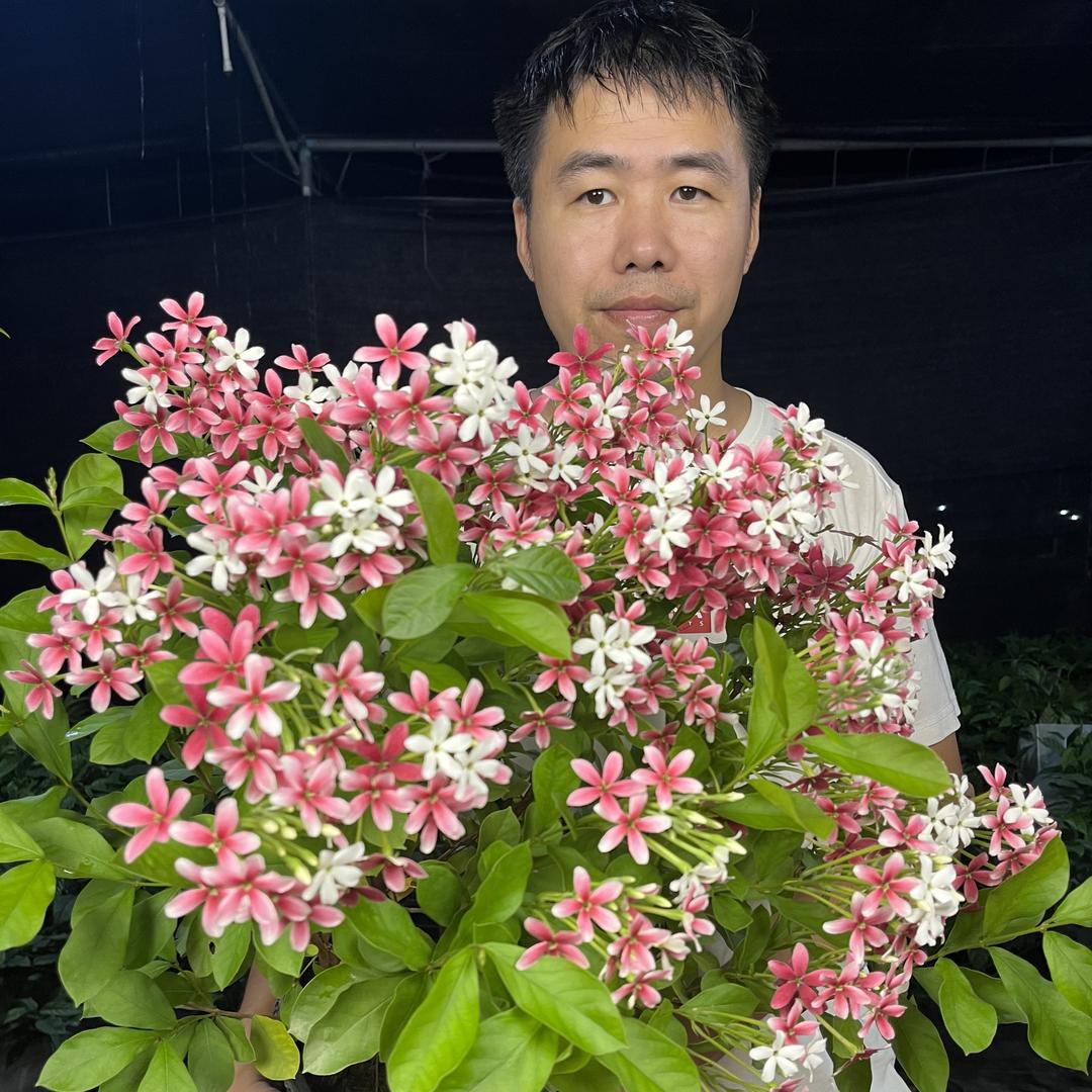 小菩提园艺