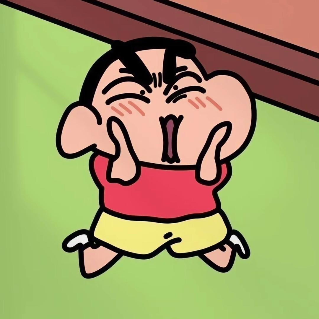 小新没蜡笔🖍️