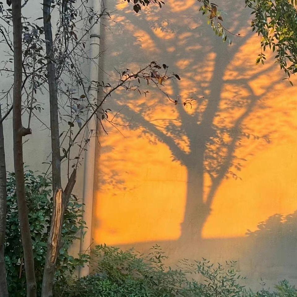 君姐的学习小店【苗条的君姐】