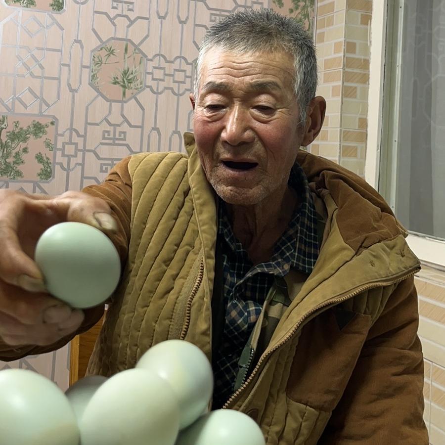 东朋老爷爷的日常