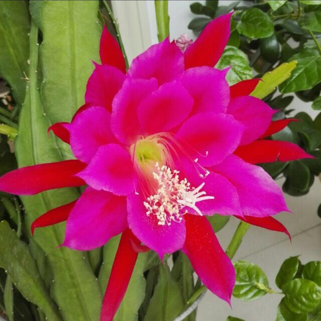 用户7557542636244亚丽