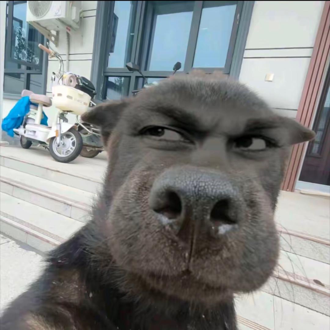 可口可乐.