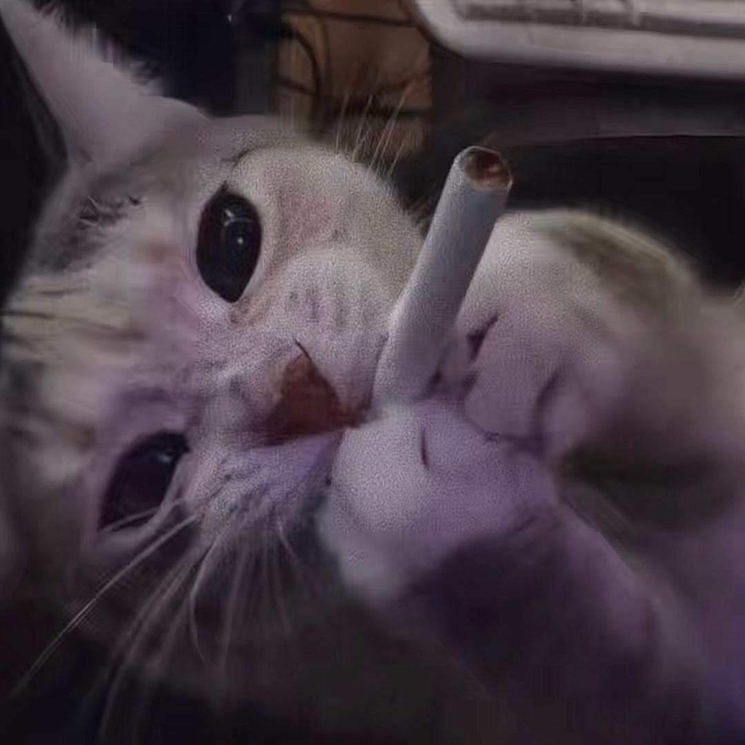 88^_^