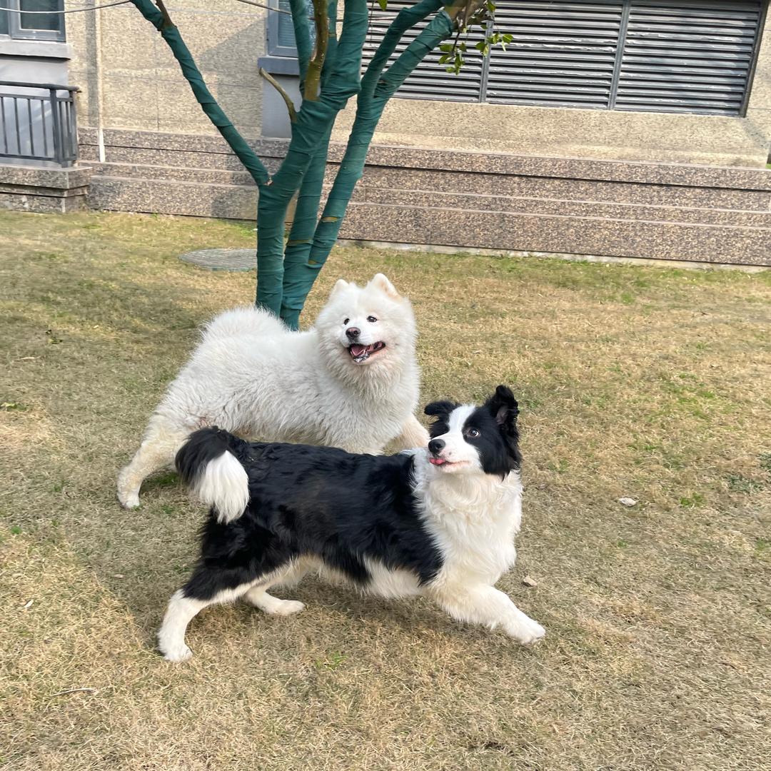 夏丢丢和董如毅