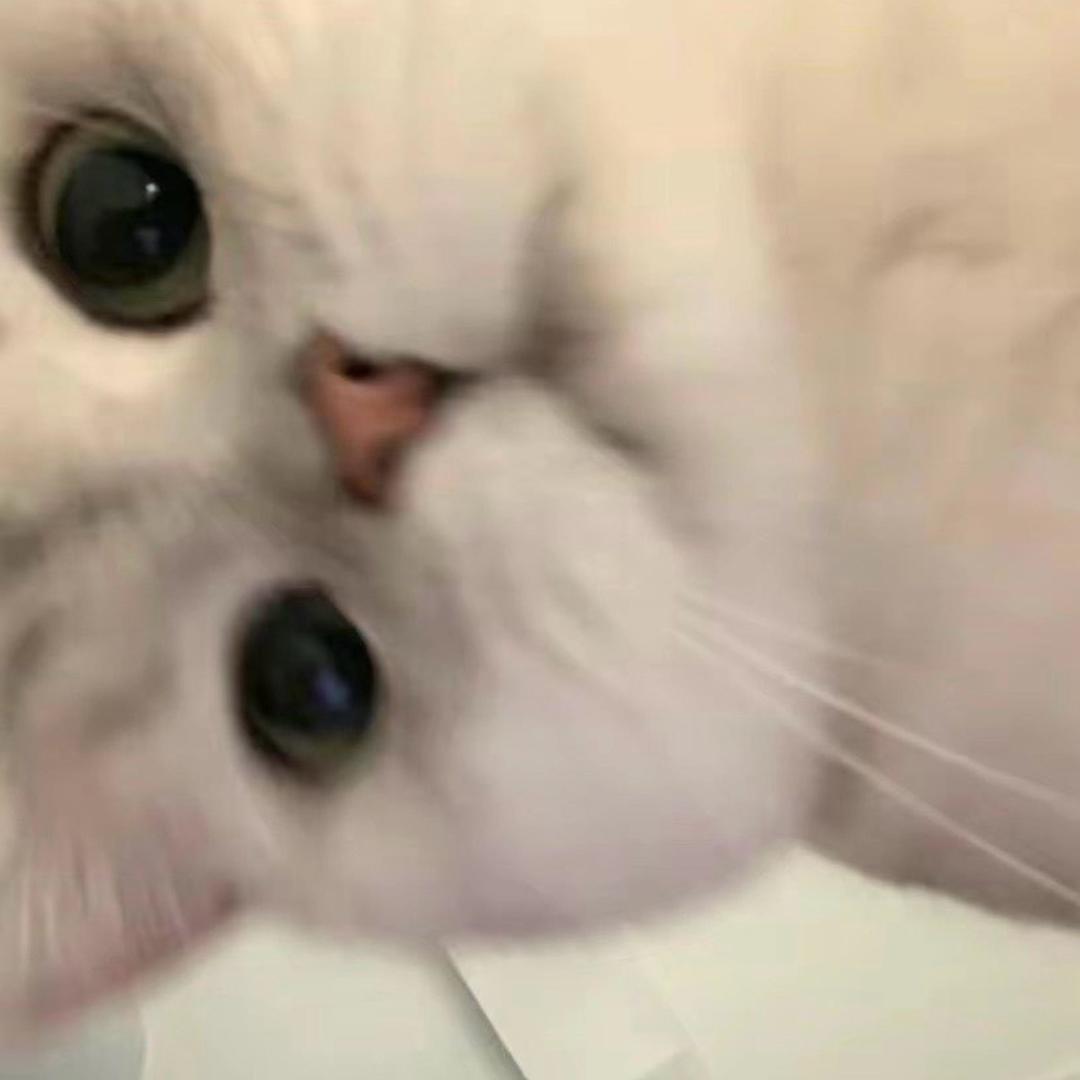 一只眠羊