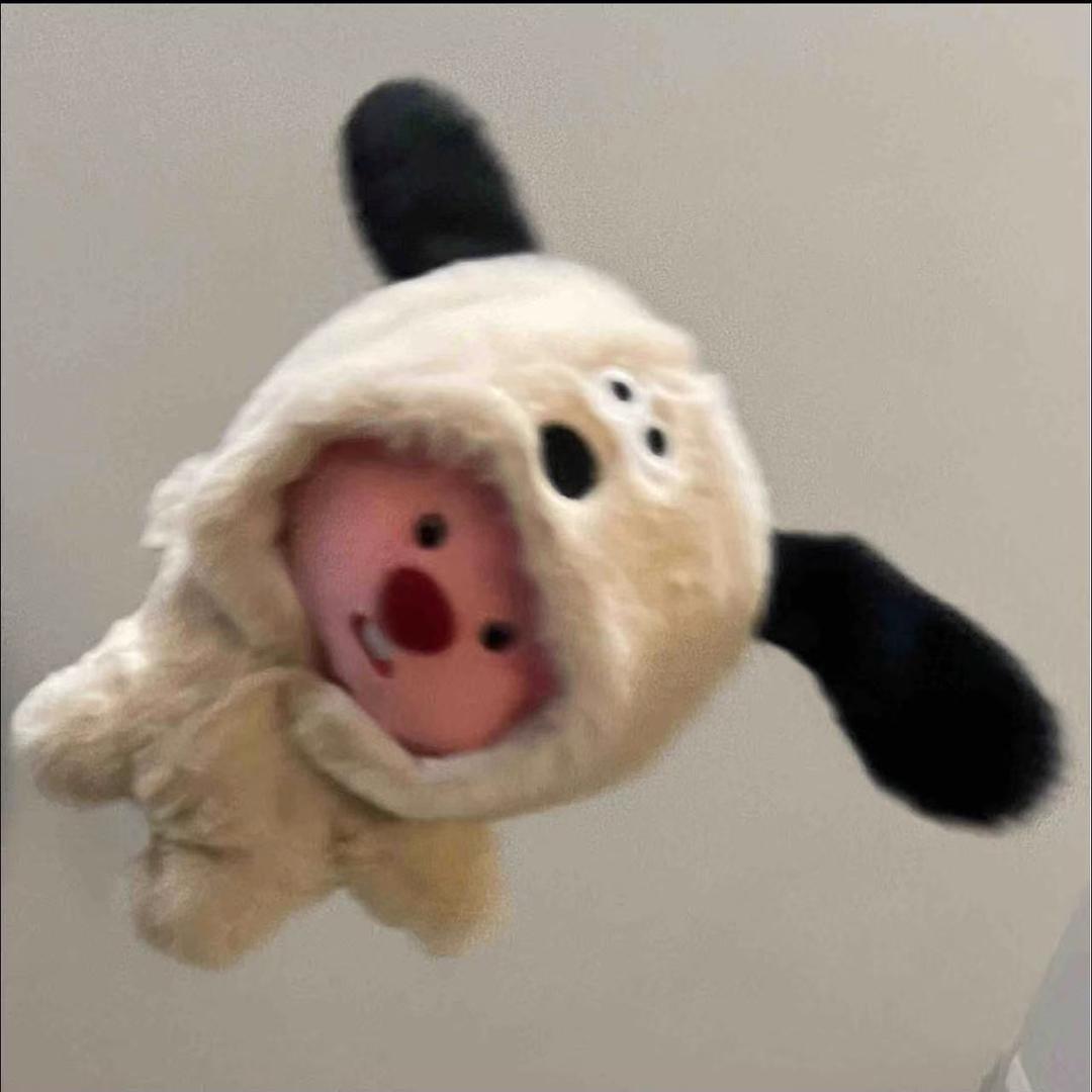 啊啊