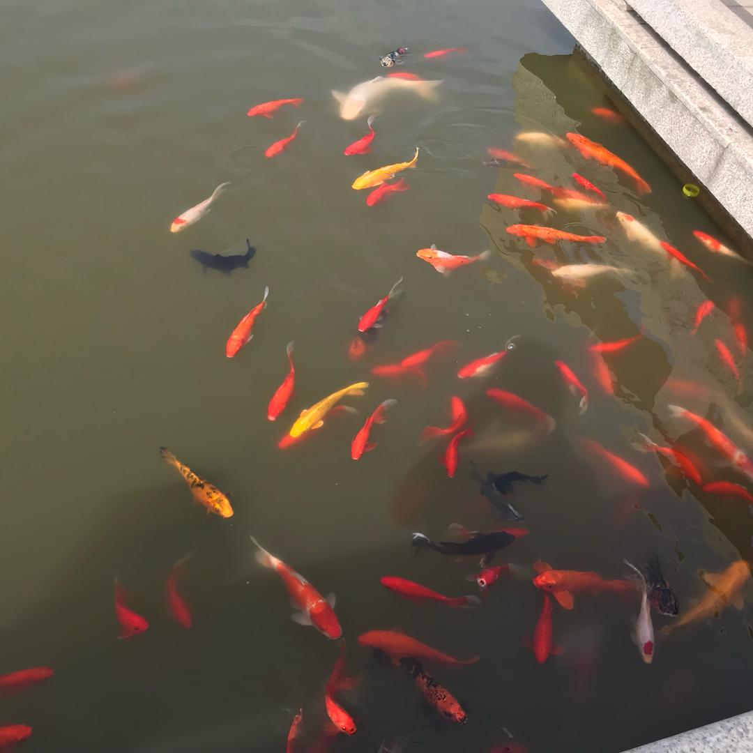 晴天，