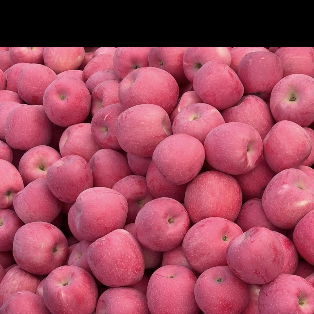 京密四季精品基地1号