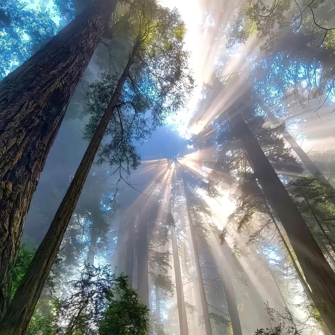 法，不能向不法低下头颅。
