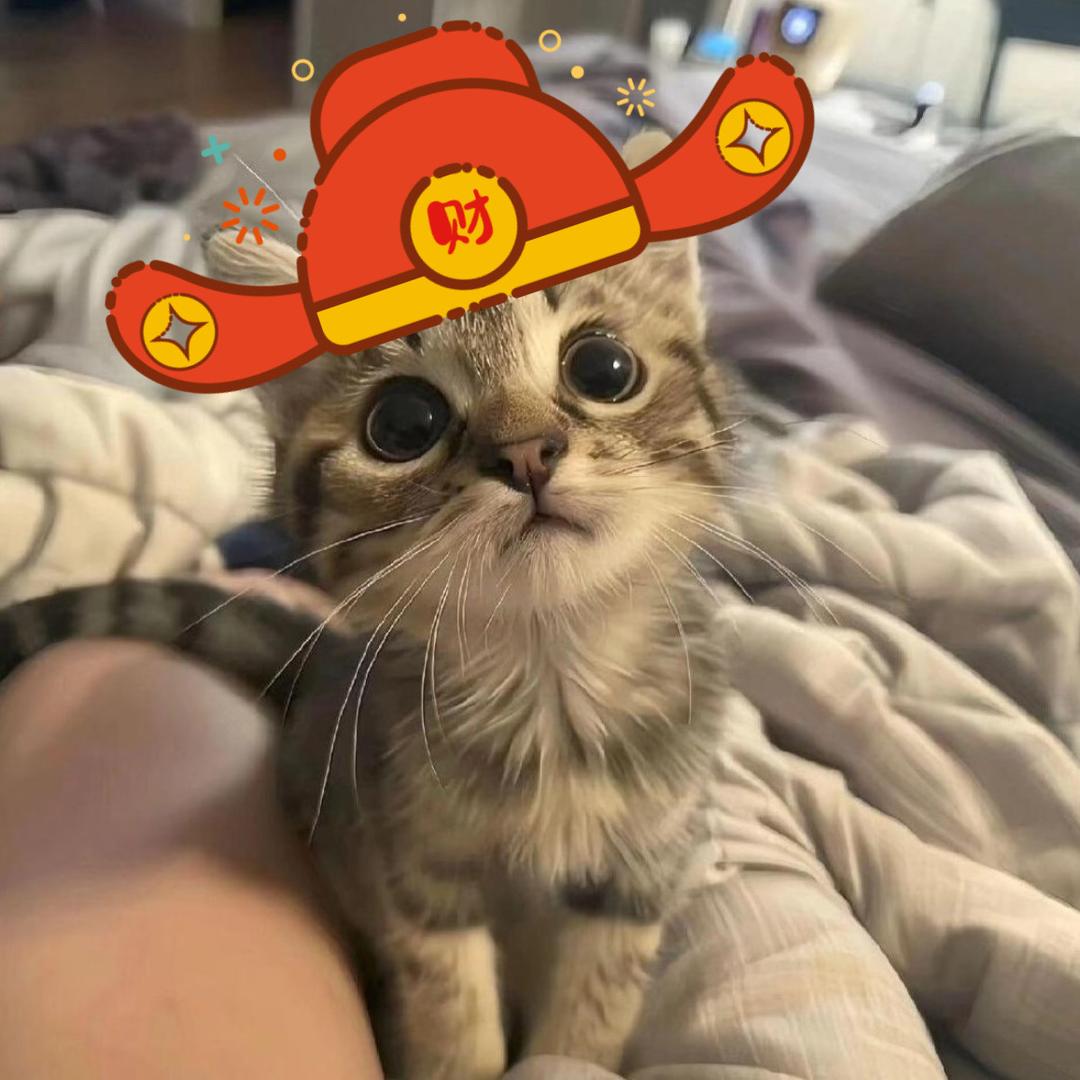 你突然的顿悟很可爱